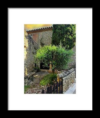 A Quiet Corner in Castell Olive Tree and Stone Walls in Catalonia